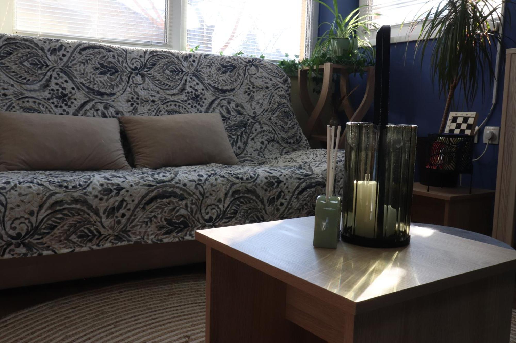 סובוטיקה Center Apartment Dunja מראה חיצוני תמונה