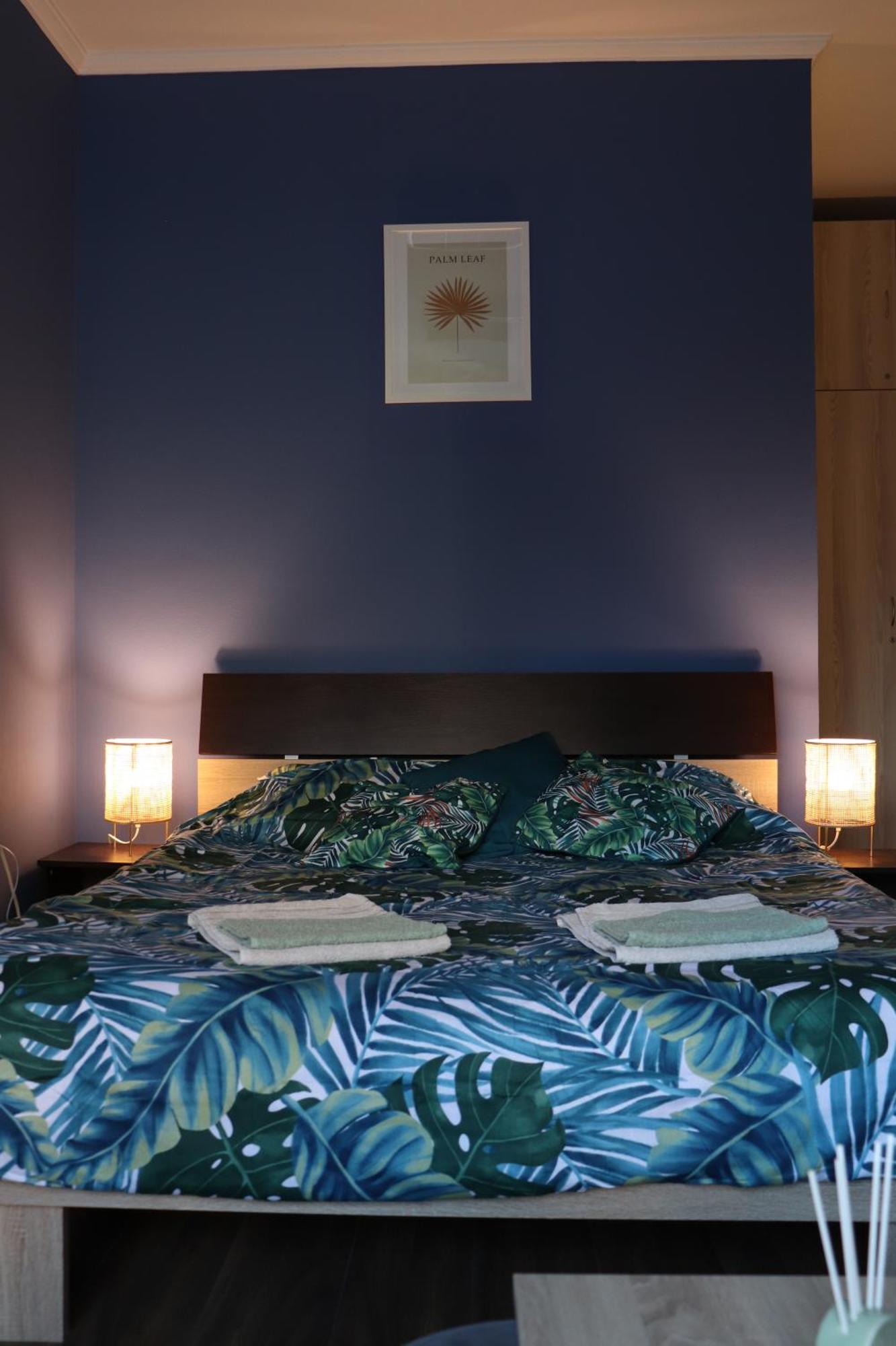 סובוטיקה Center Apartment Dunja מראה חיצוני תמונה