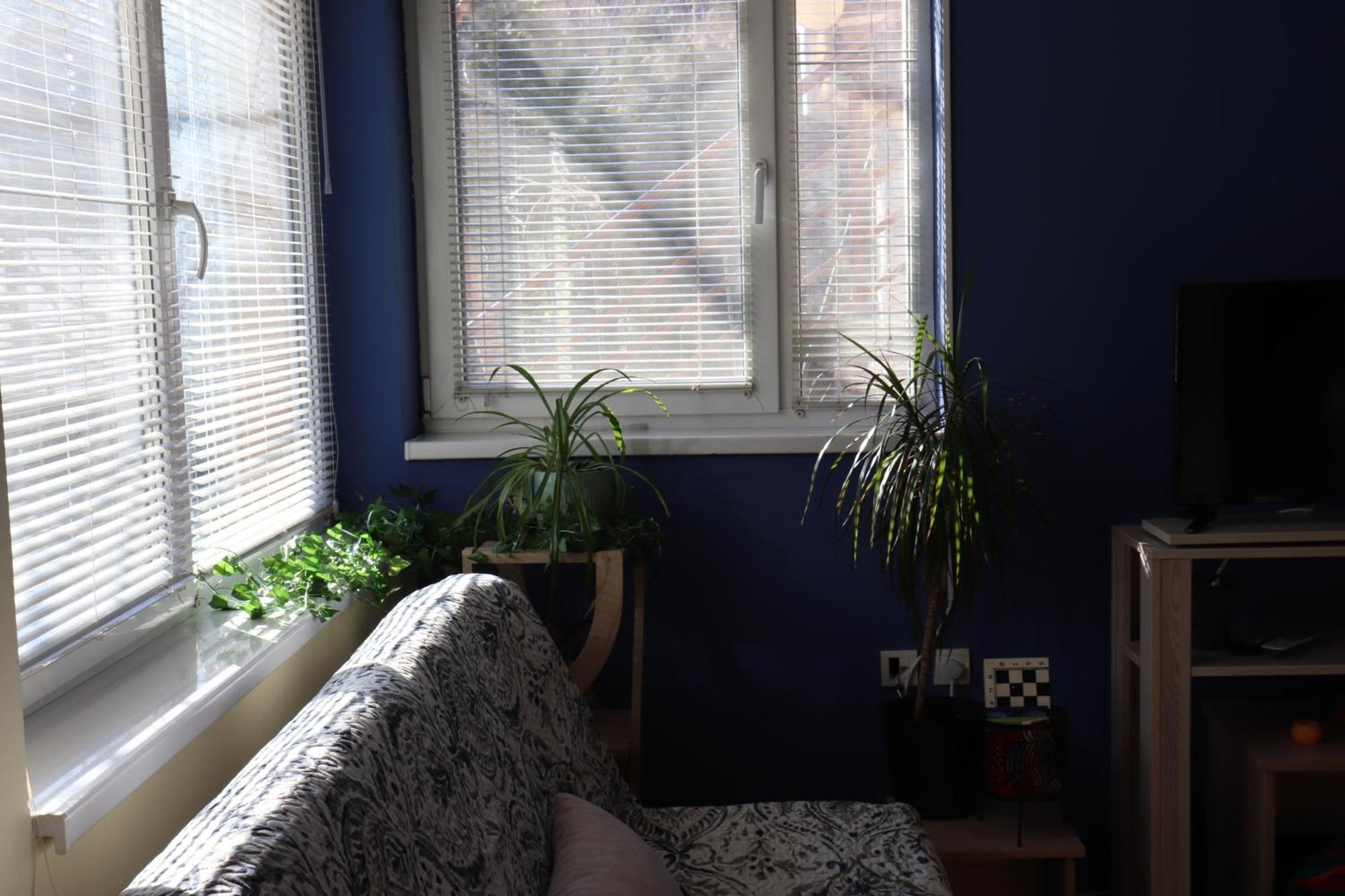 סובוטיקה Center Apartment Dunja מראה חיצוני תמונה